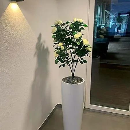 Hotel Am Schlossplatz 4*