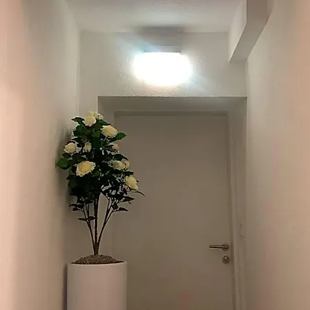 Am Schlossplatz Hotel